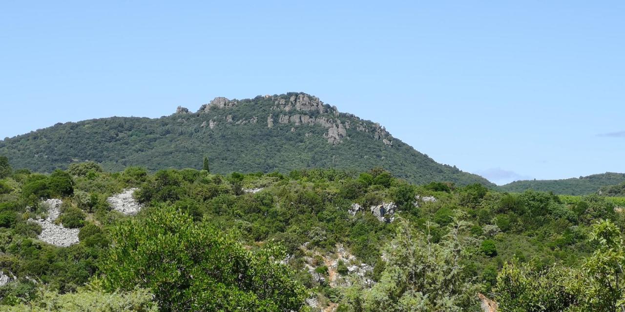 לינה וארוחת בוקר Saint-Saturnin-de-Lucian Le Mimosa מראה חיצוני תמונה