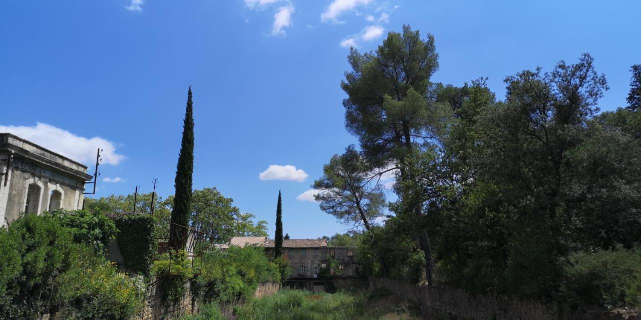 לינה וארוחת בוקר Saint-Saturnin-de-Lucian Le Mimosa מראה חיצוני תמונה