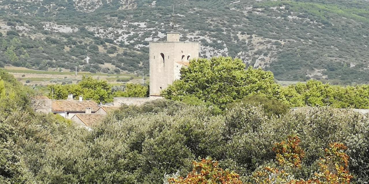לינה וארוחת בוקר Saint-Saturnin-de-Lucian Le Mimosa מראה חיצוני תמונה