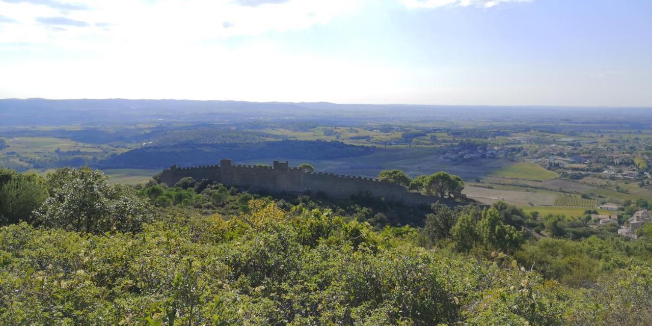 לינה וארוחת בוקר Saint-Saturnin-de-Lucian Le Mimosa מראה חיצוני תמונה