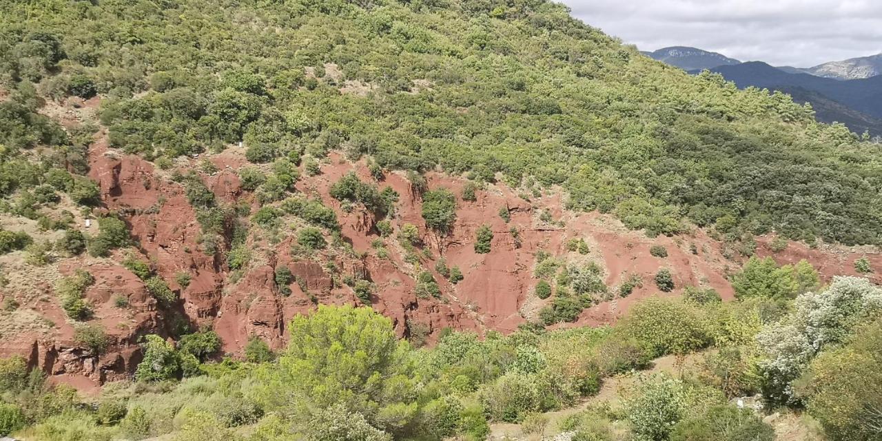 לינה וארוחת בוקר Saint-Saturnin-de-Lucian Le Mimosa מראה חיצוני תמונה