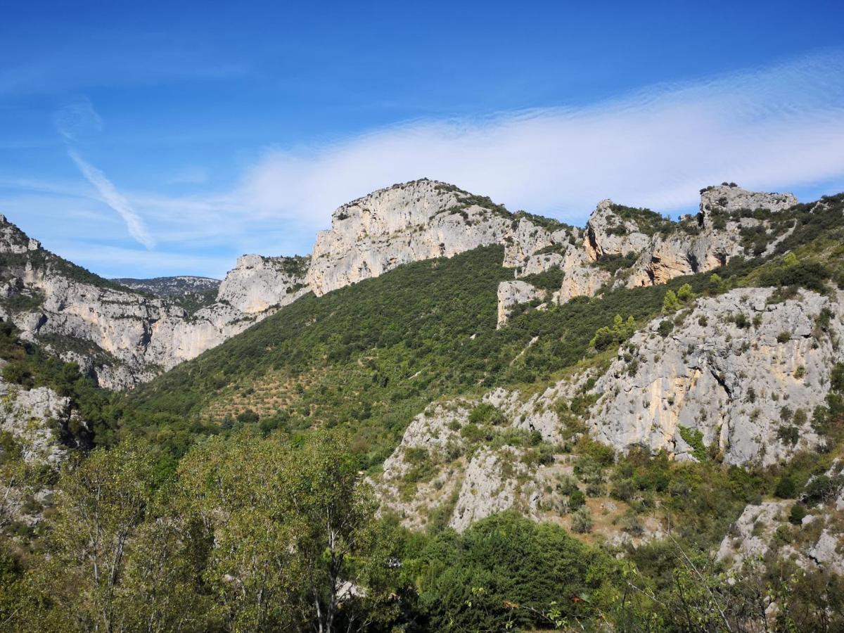 לינה וארוחת בוקר Saint-Saturnin-de-Lucian Le Mimosa מראה חיצוני תמונה