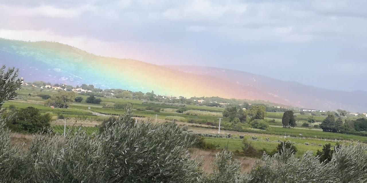 לינה וארוחת בוקר Saint-Saturnin-de-Lucian Le Mimosa מראה חיצוני תמונה