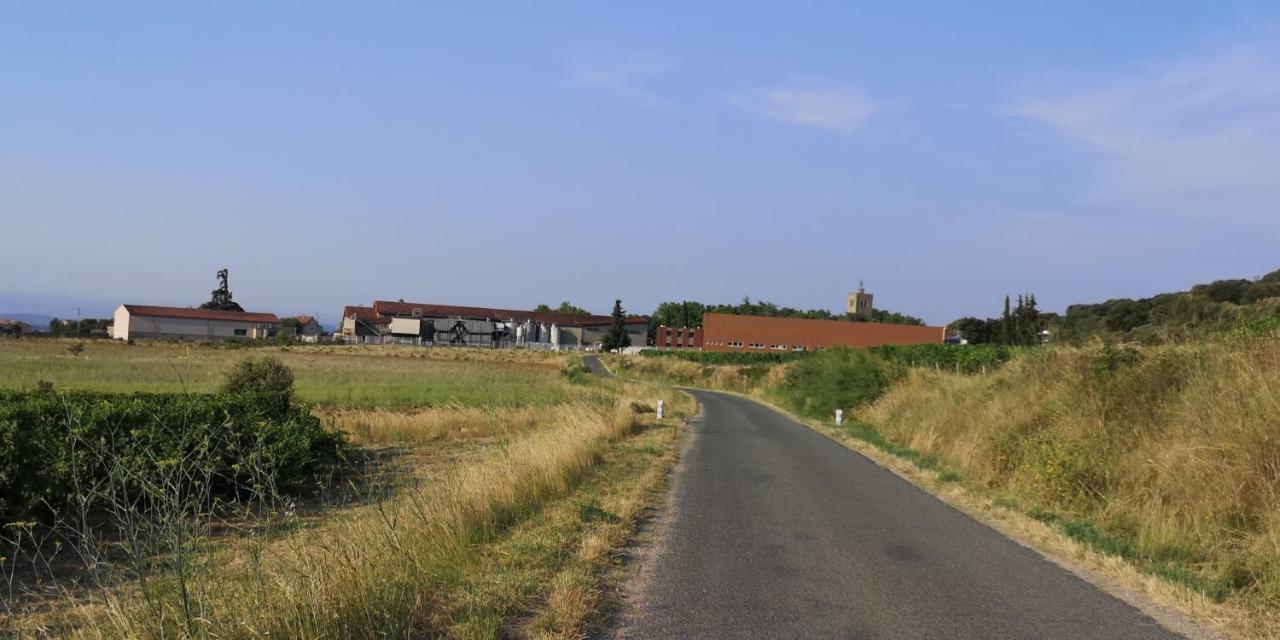 לינה וארוחת בוקר Saint-Saturnin-de-Lucian Le Mimosa מראה חיצוני תמונה
