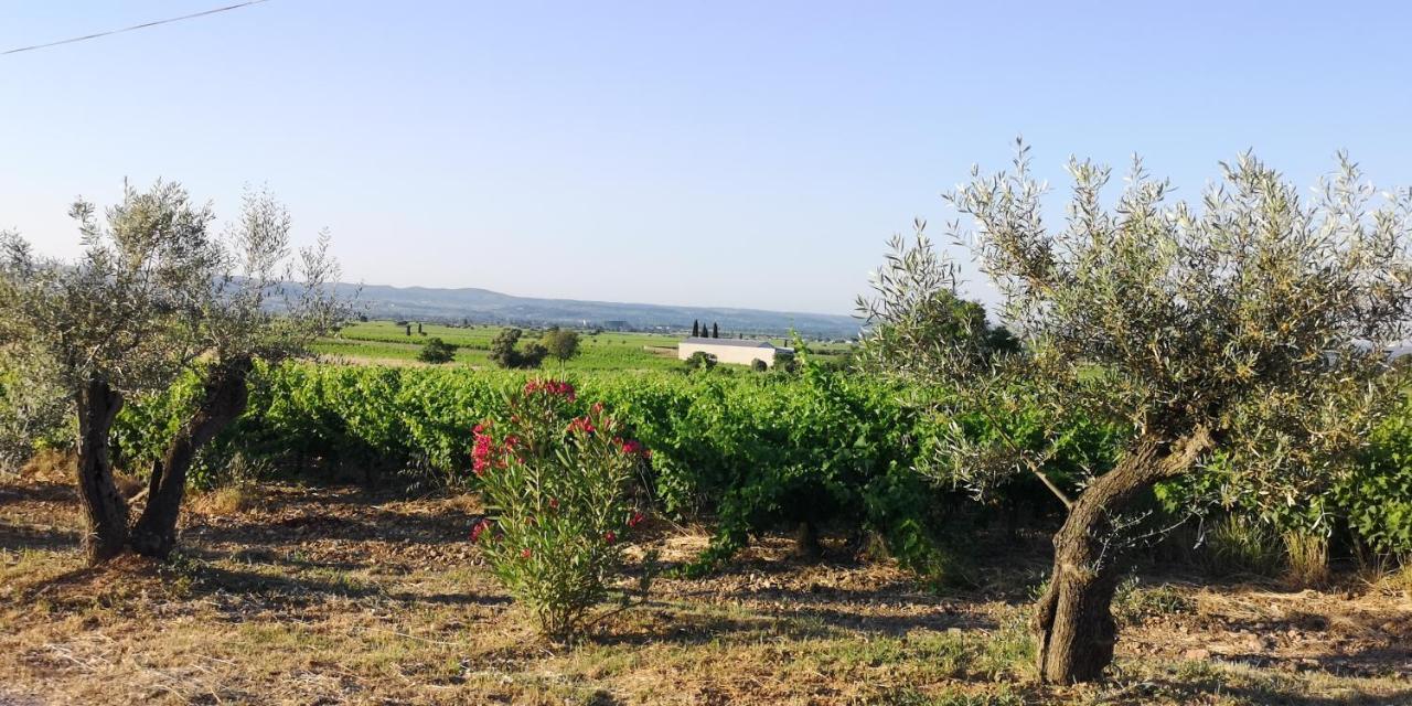 לינה וארוחת בוקר Saint-Saturnin-de-Lucian Le Mimosa מראה חיצוני תמונה