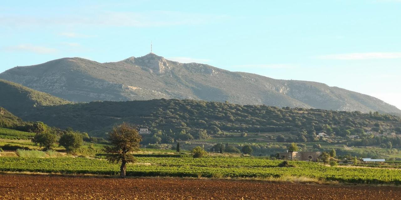 לינה וארוחת בוקר Saint-Saturnin-de-Lucian Le Mimosa מראה חיצוני תמונה
