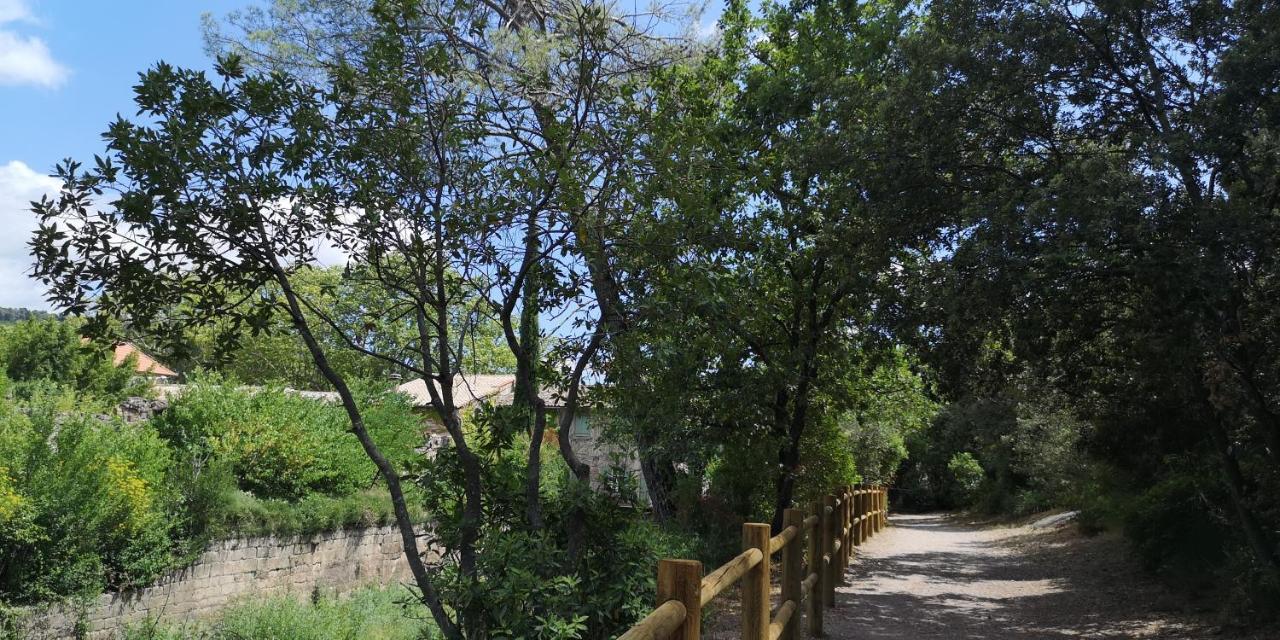 לינה וארוחת בוקר Saint-Saturnin-de-Lucian Le Mimosa מראה חיצוני תמונה