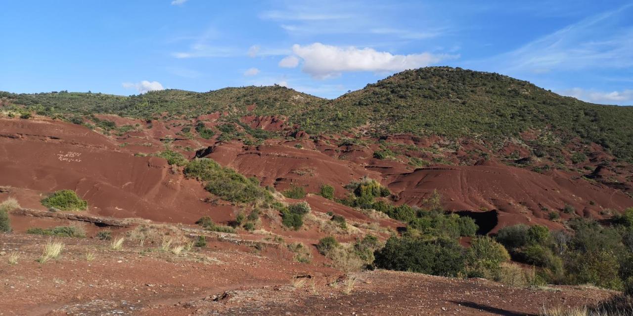 לינה וארוחת בוקר Saint-Saturnin-de-Lucian Le Mimosa מראה חיצוני תמונה