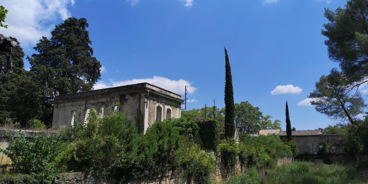 לינה וארוחת בוקר Saint-Saturnin-de-Lucian Le Mimosa מראה חיצוני תמונה