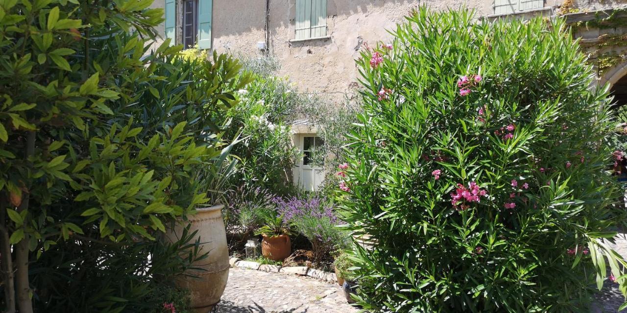 לינה וארוחת בוקר Saint-Saturnin-de-Lucian Le Mimosa מראה חיצוני תמונה